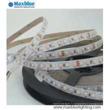 12 / 24VDC Blanc CCT réglable 120LED / M 3528SMD Strip LED